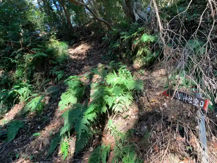 浅間神社の自然