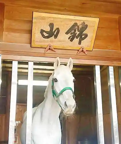 多度大社の動物