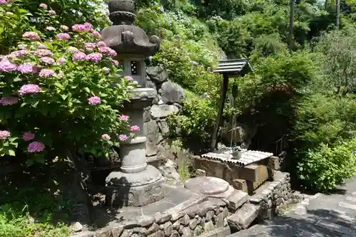 善峯寺の庭園