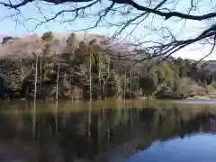 塙稲荷神社の景色