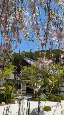 圓光寺(京都府)