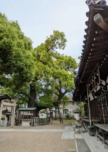 石津太神社(大阪府)