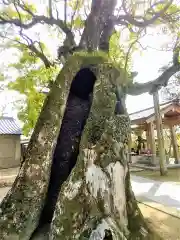 新北神社の自然