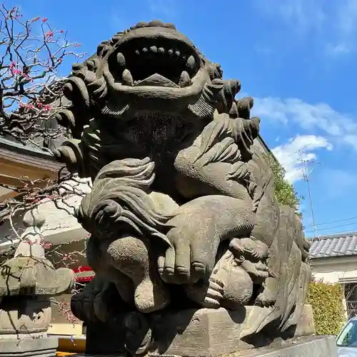 穏田神社の狛犬