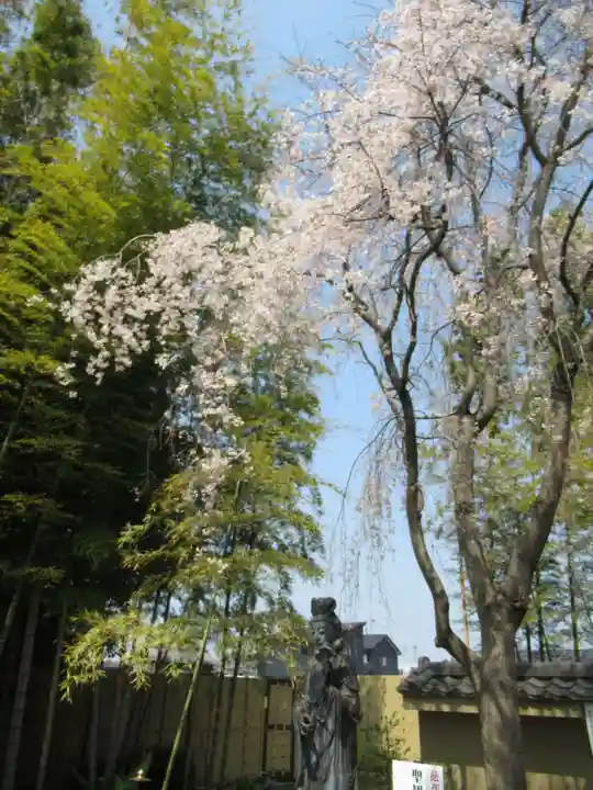真光寺(千葉県)