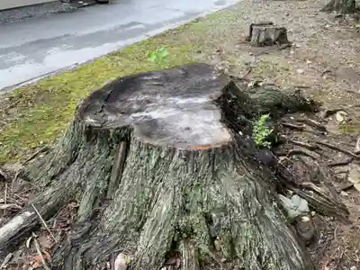 旭野神社(滋賀県)