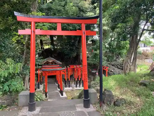 澤蔵司稲荷（慈眼院）の鳥居