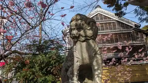 椙本神社の狛犬