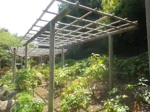 鶴岡八幡宮の庭園