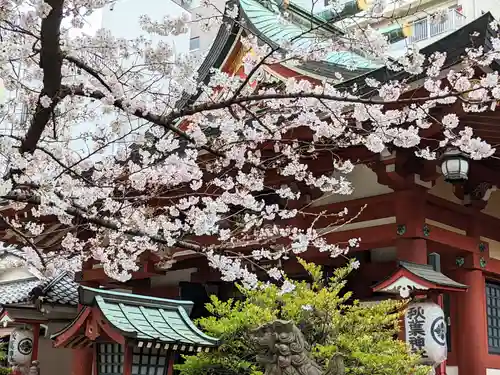 秋葉神社(東京都)