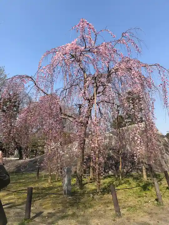 龍城神社の自然