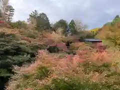 東福禅寺（東福寺）(京都府)