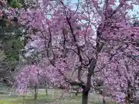 平安神宮(京都府)