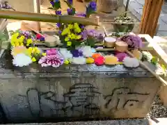 勝林寺の手水