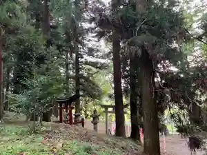 大宮温泉神社(栃木県)(2023年08月29日(火) 07時15分08秒投稿)