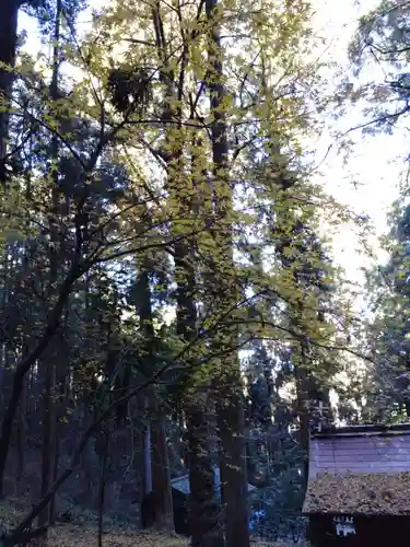 上色見熊野座神社(熊本県)