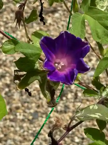 神炊館神社 ⁂奥州須賀川総鎮守⁂(福島県)