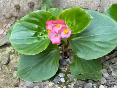 西方山極楽寺(岐阜県)