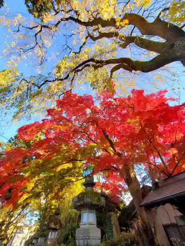 神炊館神社 ⁂奥州須賀川総鎮守⁂(福島県)
