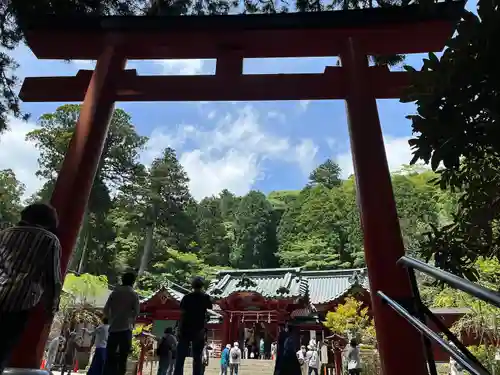 箱根神社の鳥居