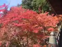 播州清水寺の自然