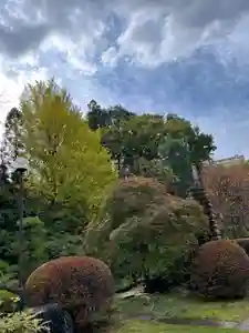 天台宗 長窪山 正覚寺の庭園(2021年11月10日(水) 11時49分46秒投稿)