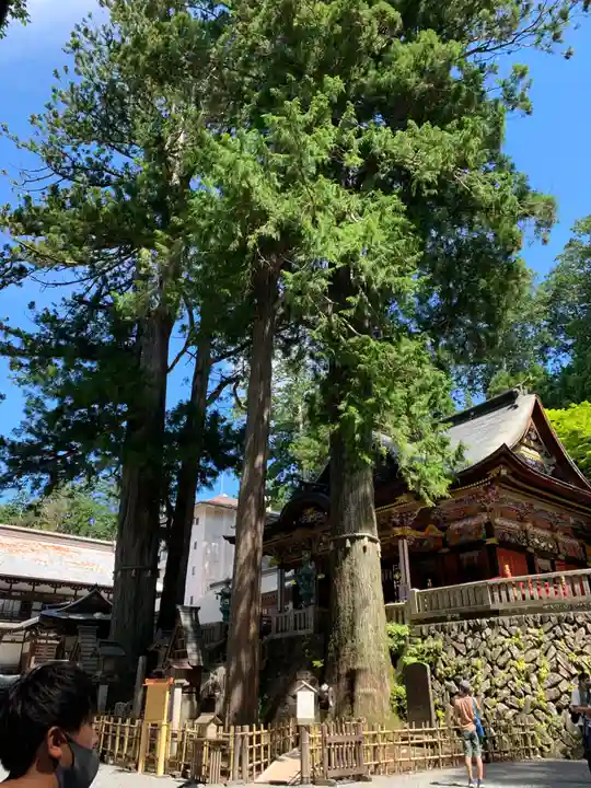 三峯神社(埼玉県)