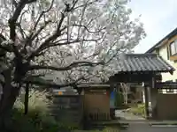 蓮乗院の山門・神門