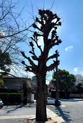 宝仙寺の{uncategorized: "未分類", other: "その他", undefined: "問題あり", building: "その他建物", grave: "お墓", sacred_gate: "鳥居", guardian: "狛犬", statue: "像", buddha: "仏像", history: "歴史", nature: "自然", garden: "庭園", animal: "動物", pagoda: "塔", temizu: "手水舎", mountain_gate: "山門・神門", sanctuary: "本殿・本堂", subordinate: "末社・摂社", art: "芸術", scenery: "景色", jizo: "地蔵", ema: "絵馬", goshuin: "御朱印", omikuji: "おみくじ", items: "授与品その他", amulet: "お守り", goshuincho: "御朱印帳", eats: "食事", festival: "お祭り", votive_dance: "神楽", shichigosan: "七五三参", wedding: "結婚式", experience: "体験その他", initially: "初詣", around: "周辺", anti_infection: "感染症対策"}