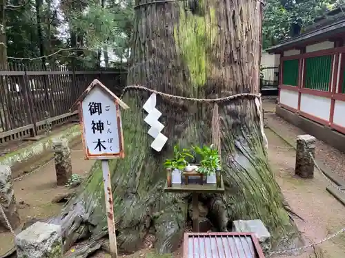 一言主神社の自然
