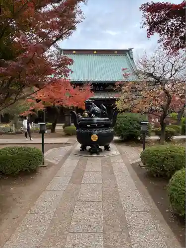 豪徳寺(東京都)