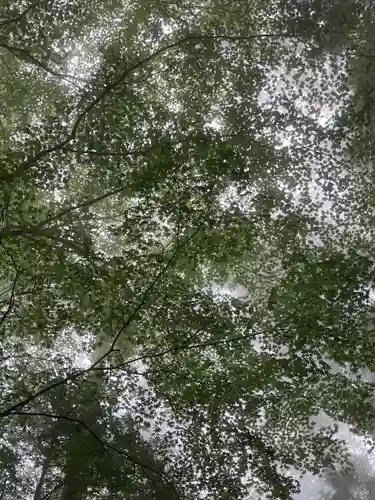 三峯神社(埼玉県)