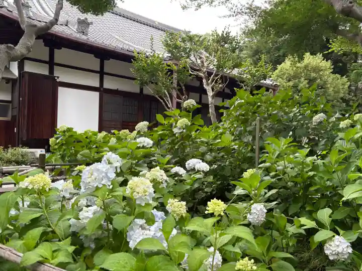 頼光寺(兵庫県)