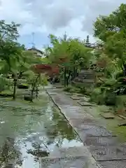 保寧寺の庭園