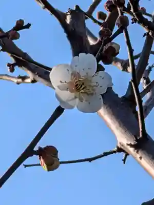 瑞円寺(東京都)
