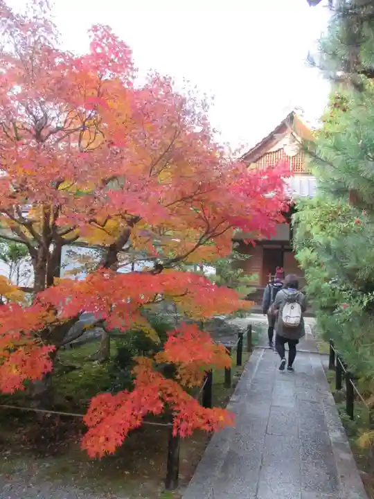 清凉寺(京都府)