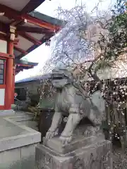 筑土八幡神社(東京都)