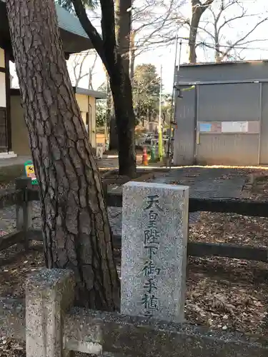 淨眞寺の自然