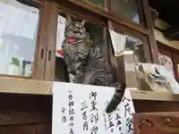 梅宮大社(京都府)