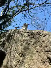 桃崎稲荷大明神の建物その他