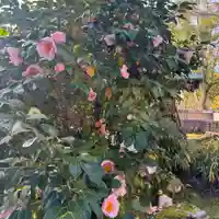 伊勢の国 四天王寺(三重県)