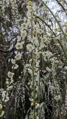 城南宮(京都府)