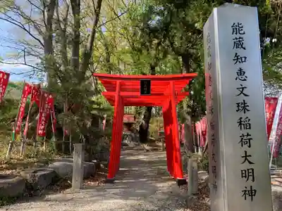 能蔵知恵文殊稲荷大明神の鳥居