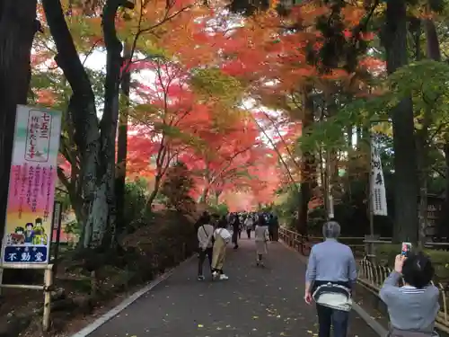 中尊寺の自然