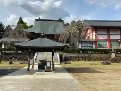 芝山仁王尊 観音教寺の本殿・本堂