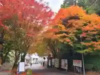 千如寺大悲王院(福岡県)