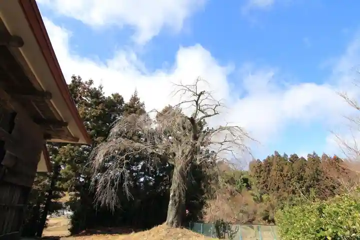 正観音堂の自然