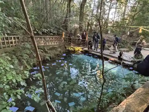 八重垣神社の{uncategorized: "未分類", other: "その他", undefined: "問題あり", building: "その他建物", grave: "お墓", sacred_gate: "鳥居", guardian: "狛犬", statue: "像", buddha: "仏像", history: "歴史", nature: "自然", garden: "庭園", animal: "動物", pagoda: "塔", temizu: "手水舎", mountain_gate: "山門・神門", sanctuary: "本殿・本堂", subordinate: "末社・摂社", art: "芸術", scenery: "景色", jizo: "地蔵", ema: "絵馬", goshuin: "御朱印", omikuji: "おみくじ", items: "授与品その他", amulet: "お守り", goshuincho: "御朱印帳", eats: "食事", festival: "お祭り", votive_dance: "神楽", shichigosan: "七五三参", wedding: "結婚式", experience: "体験その他", initially: "初詣", around: "周辺", anti_infection: "感染症対策"}