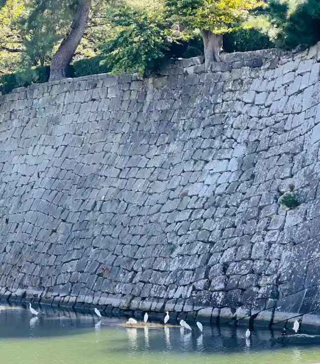 福井神社(福井県)