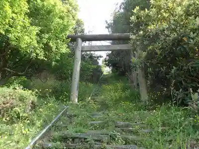 山崎忌部神社の鳥居